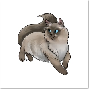 Cat - Ragdoll - Seal Point Posters and Art